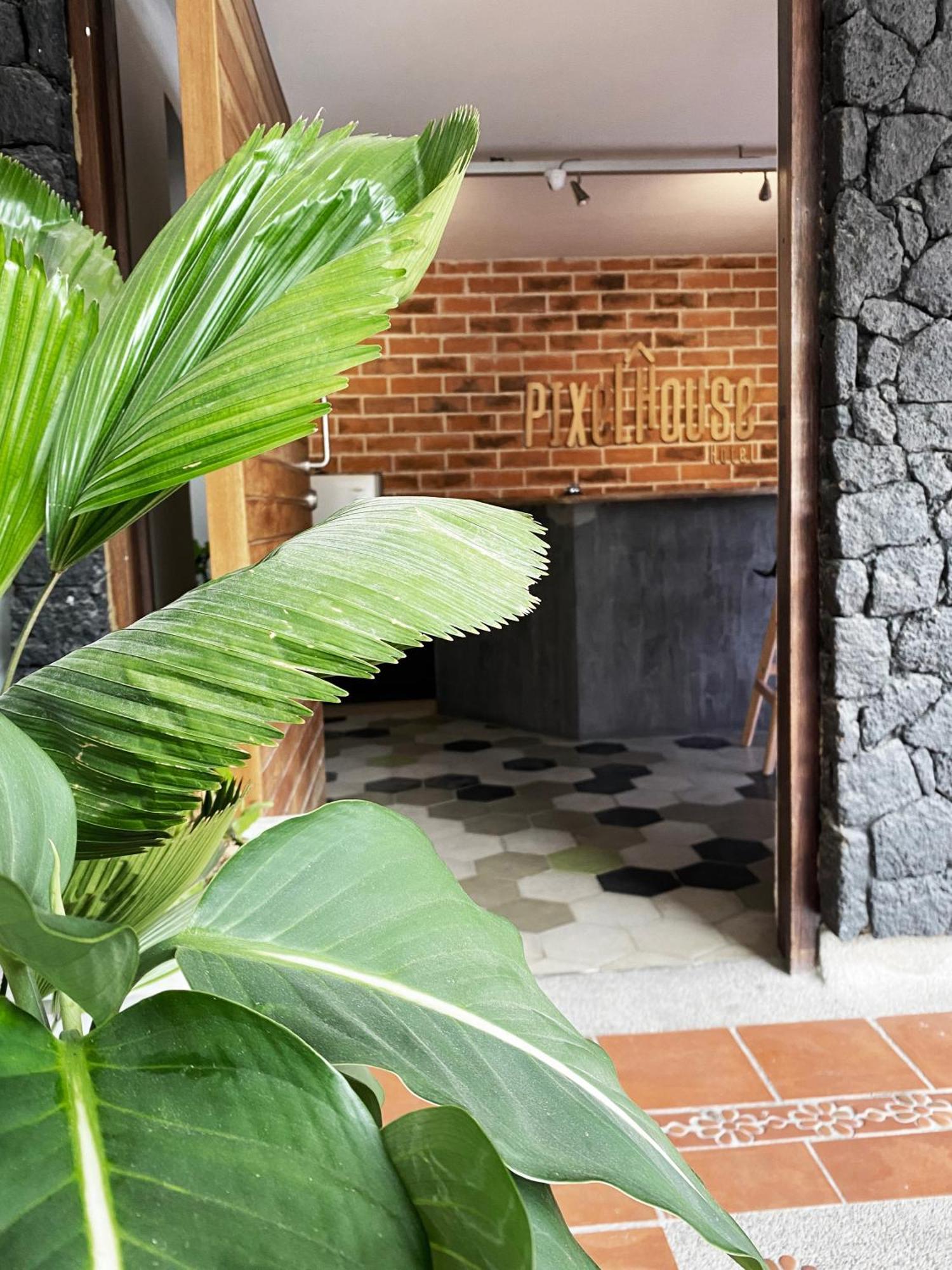 Ayenda 1224 Pixel House (Adults Only) Hotel Medellín Buitenkant foto